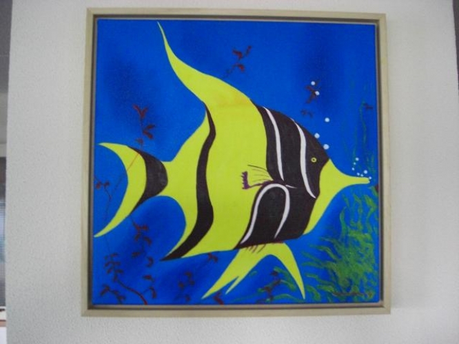 48 Ornamental Fish(Maanvis)