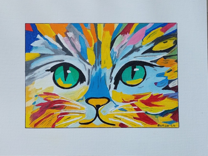 484 colorful Cat