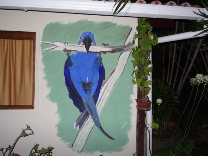 254 Muurschildering, hanging Hyacint papagaai